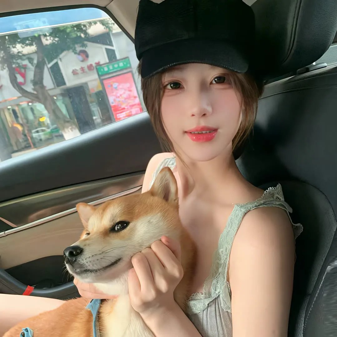 没人瞭波斯猫